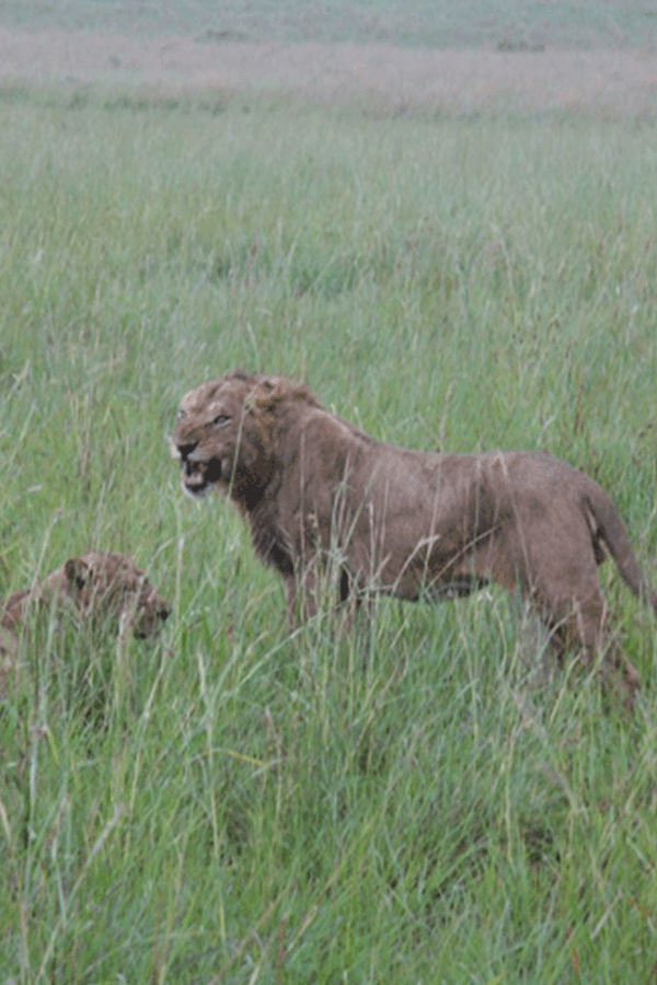 7 Days Kidepo Wilderness Safari Uganda