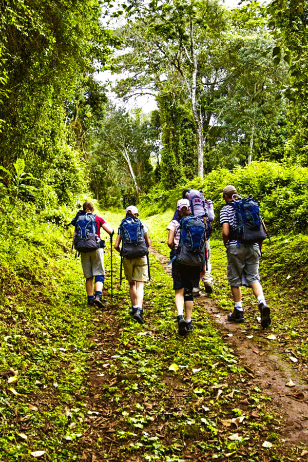 6 Days Climbing Mount Kilimanjaro Marangu Route