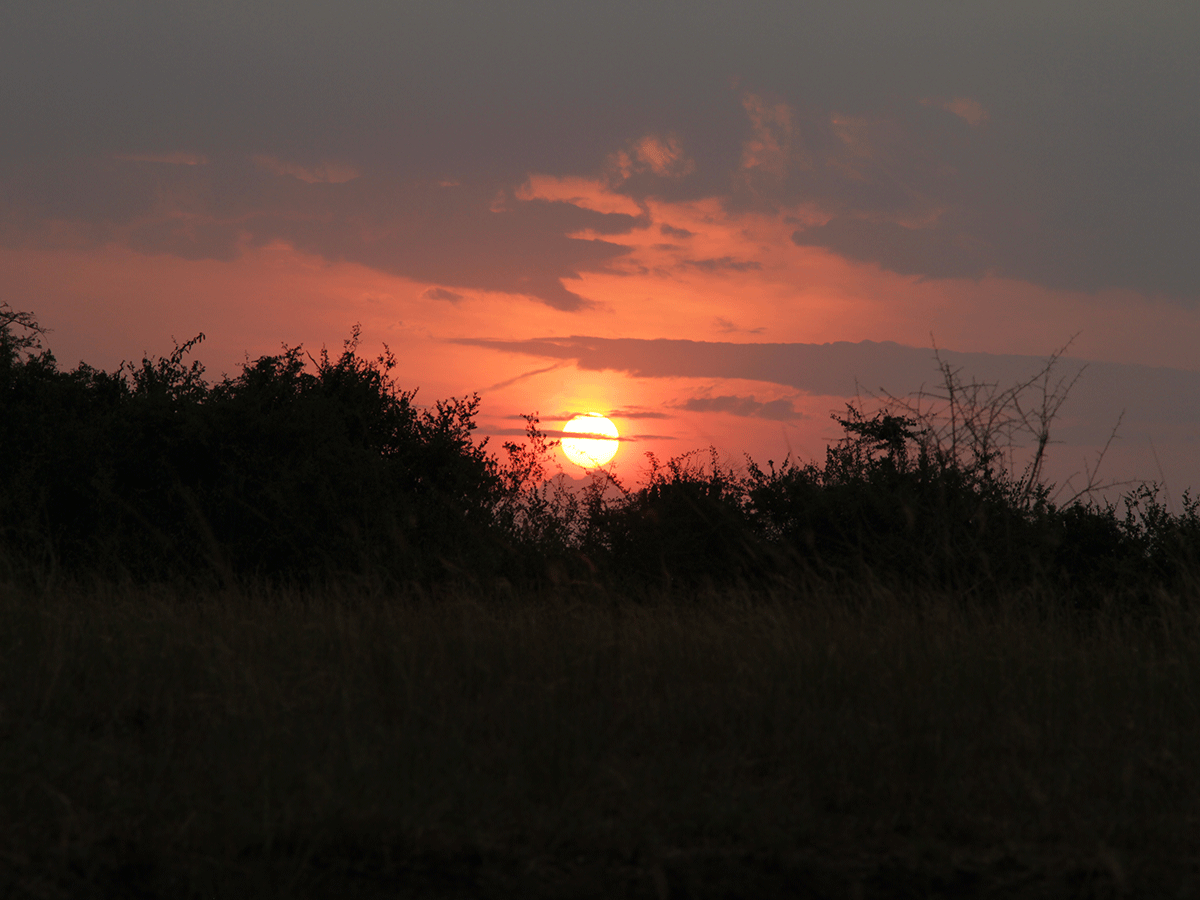 Best time to visit Rwanda, Planning a Rwanda Safari Holiday?